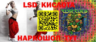 прущие крисы Северобайкальск