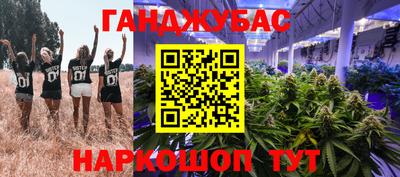 прущие крисы Северобайкальск