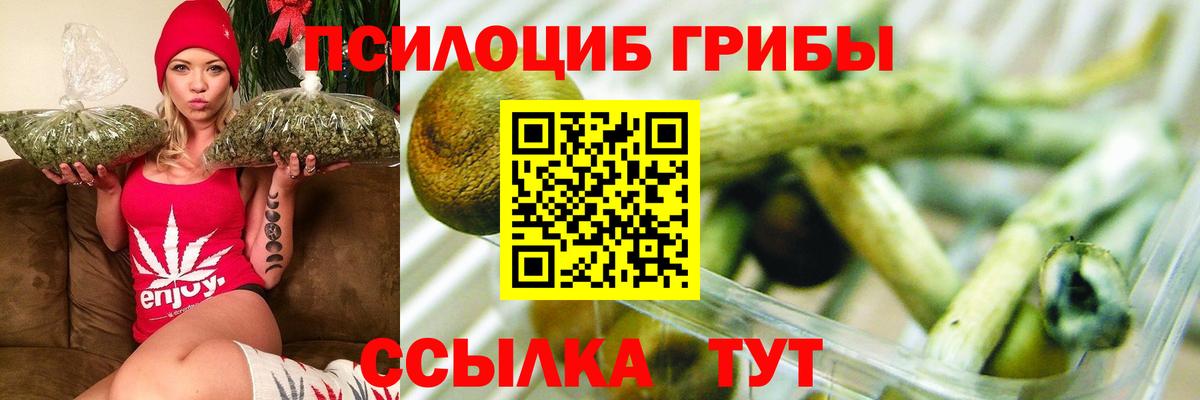 Псилоцибиновые грибы прущие грибы Сафоново